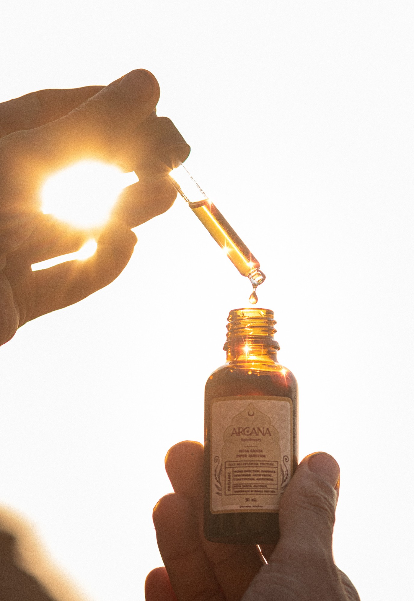ARCANA Hoja Santa tincture held against the sun with a golden dropper